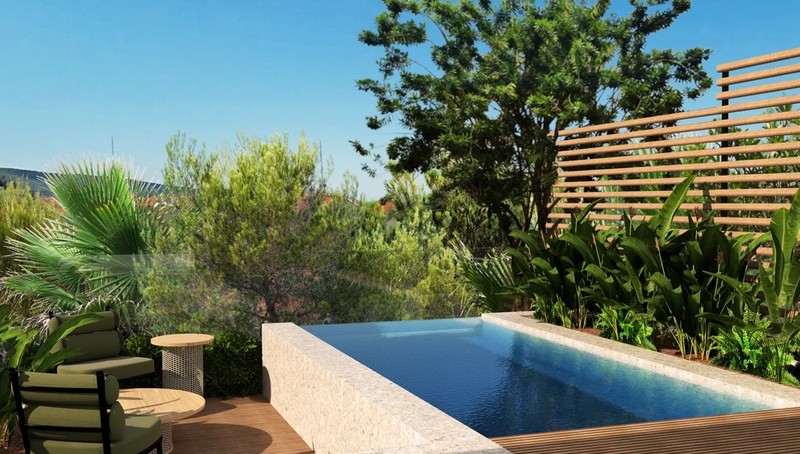 Visualisation de la piscine entre palmiers et mur en bois