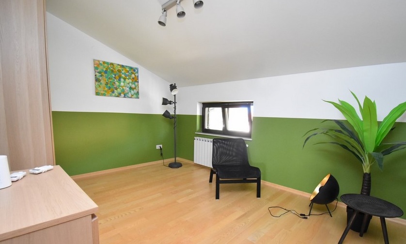 Séjour avec poêle à bois et mur vert