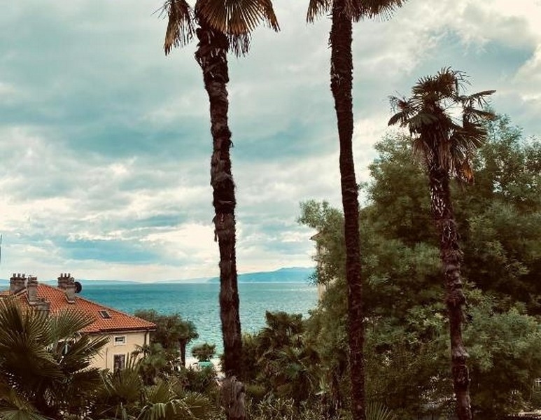Vue sur la mer à travers les palmiers