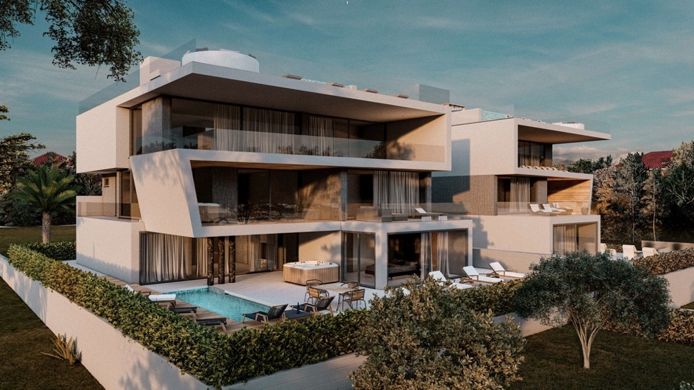 Visualisation des terrasses avec piscine et olivier