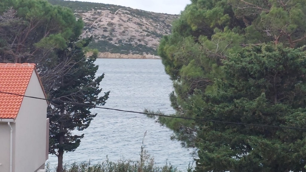 Vue entre les pins sur la baie et la pente karstique