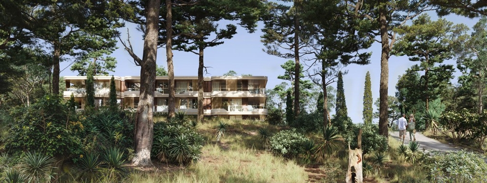 Visualisation du bâtiment entre de grands pins