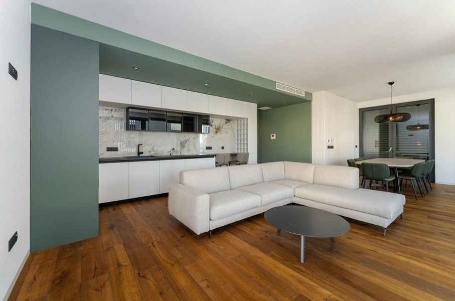 Séjour ouvert avec cuisine, parquet, mur vert