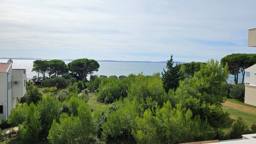 Vue mer depuis le deuxième étage, entourée de végétation verte et d'arbres
