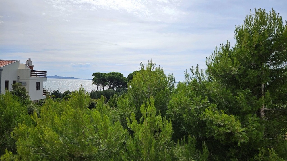Vue sur la mer derrière des arbres verts denses, avec une maison blanche et l'horizon à l'arrière-plan.