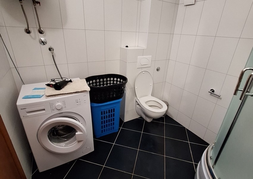 Salle de bains avec lave-linge et WC