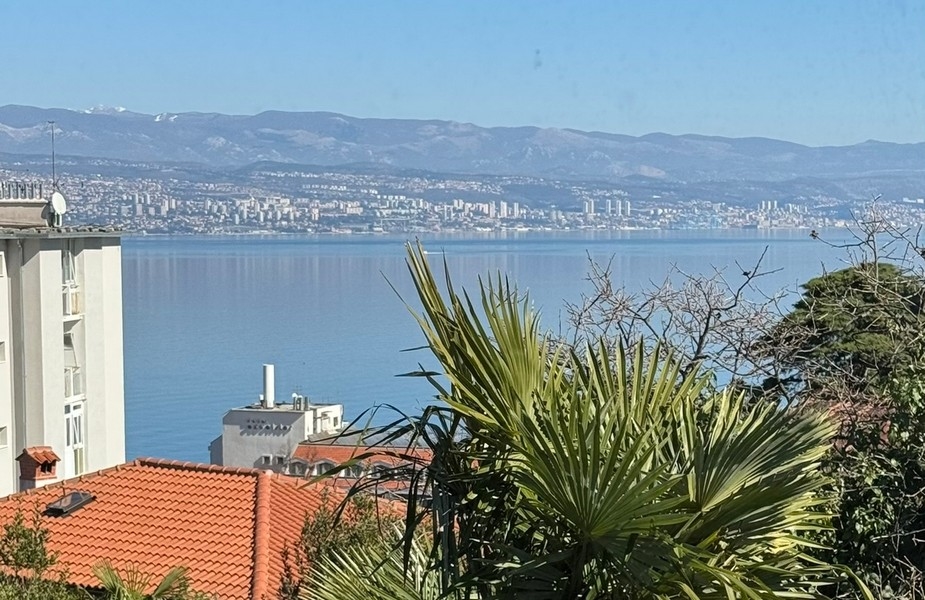 Palmes au premier plan et vue sur la baie jusqu'à la ville