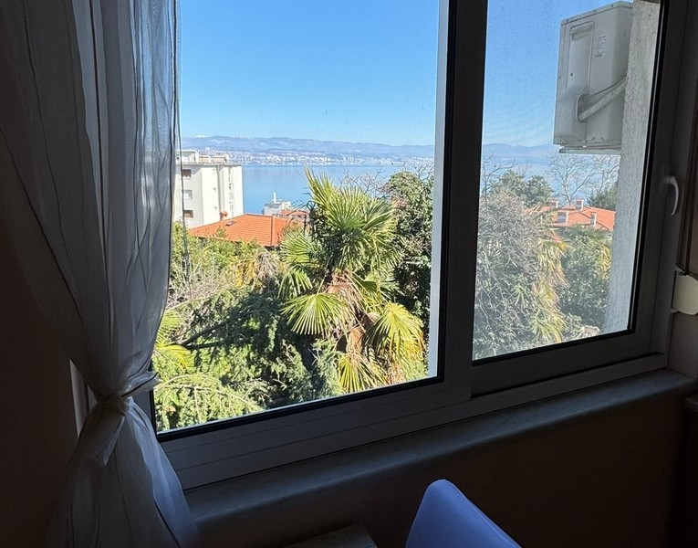 Vue par la fenêtre avec vue mer et palmiers au premier plan