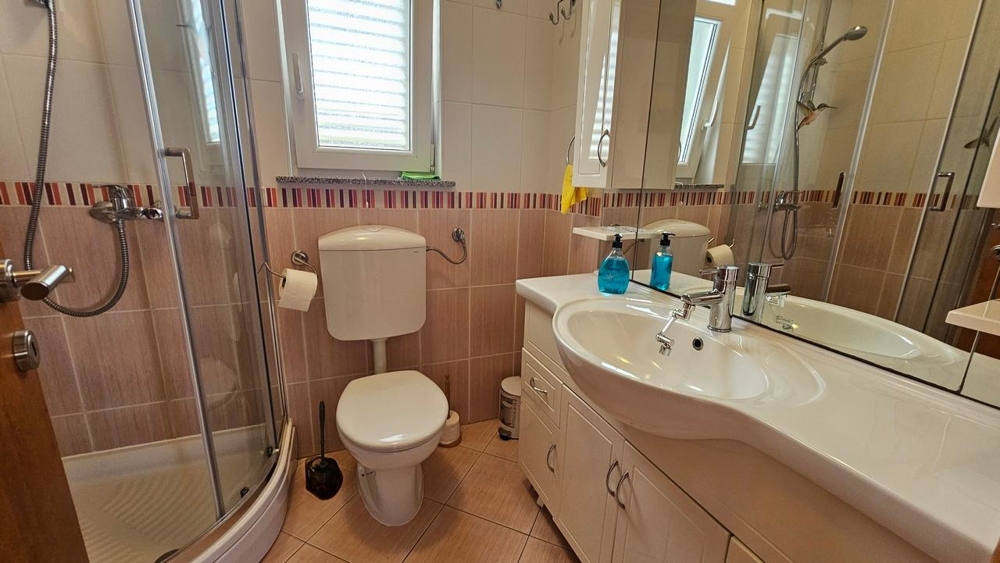 Salle de bains avec douche et lavabo
