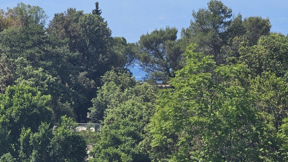 Vue du balcon jusqu'à la mer.