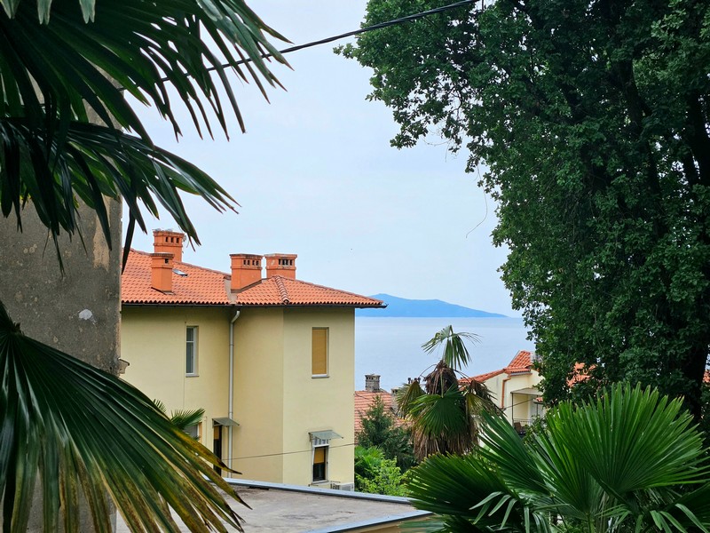 Vue entre des palmes sur une maison jaune et la mer