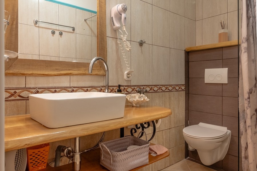Salle de bains avec douche et meuble-lavabo en bois