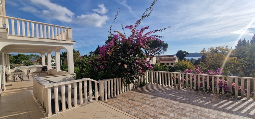 Vue sur la mer depuis la terrasse du bien A3813