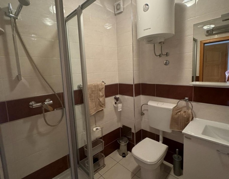 Salle de bains avec douche et WC