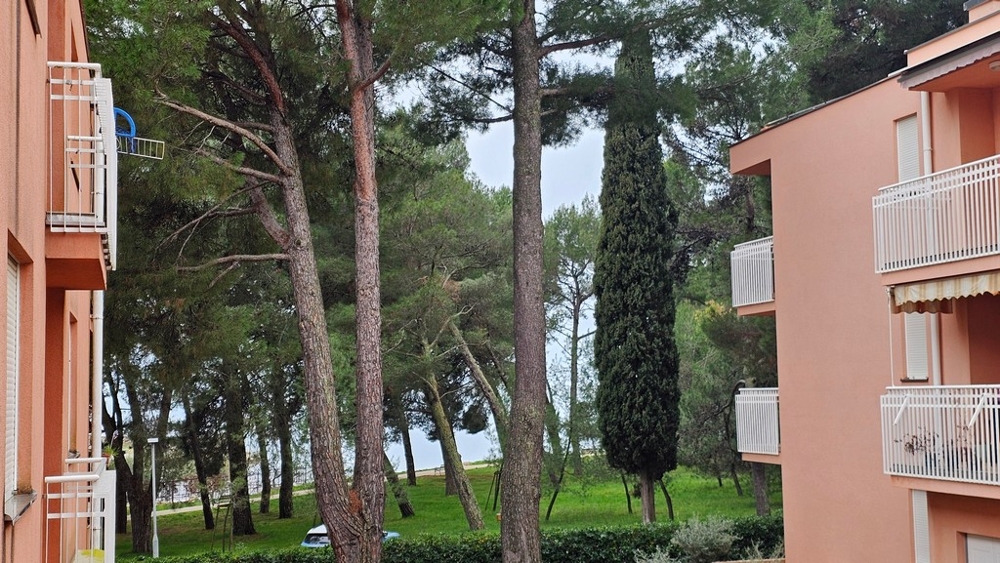 Appartement en bord de mer à vendre en Istrie, Novigrad.