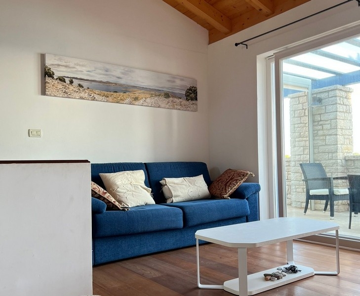 Salon avec canapé et accès à la terrasse couverte