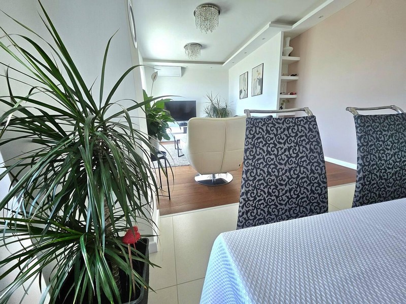 Salon avec plante d'intérieur et chaises à motifs au premier plan