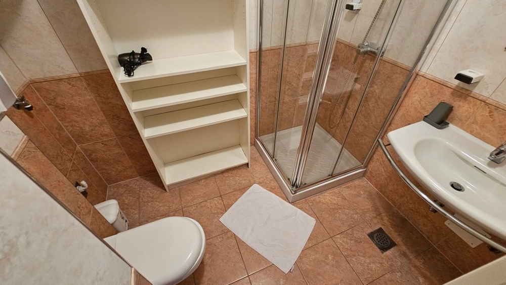 Salle de bains avec douche, lavabo et WC