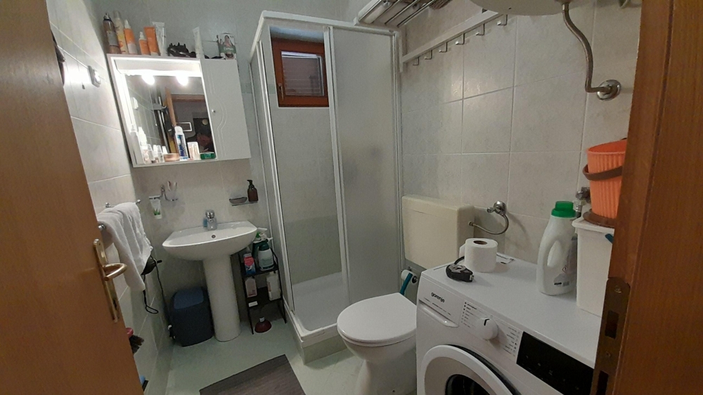 Salle de bains avec douche, lave-linge et WC