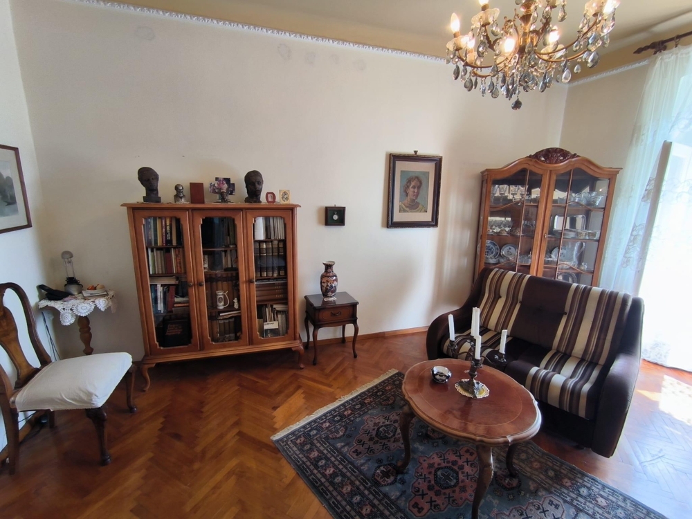 Salon avec meubles classiques et lustre