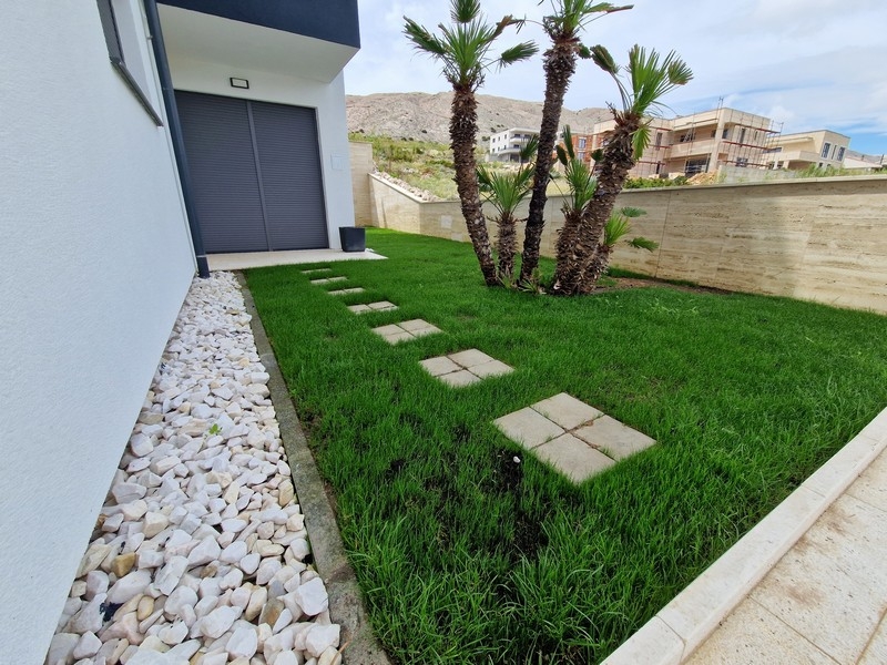 Jardin soigné avec palmiers et espace vert