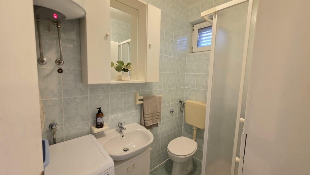 Salle de bains avec douche et lave-linge