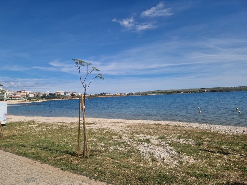 Promenade côtière et plage à Povljana