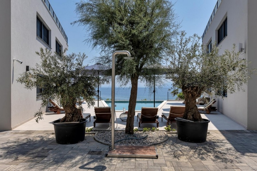 Terrasse avec olivier et vue sur la mer