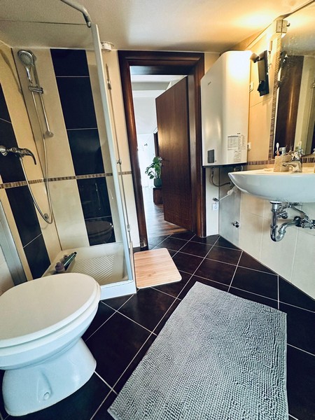 Salle de bains avec douche et toilettes