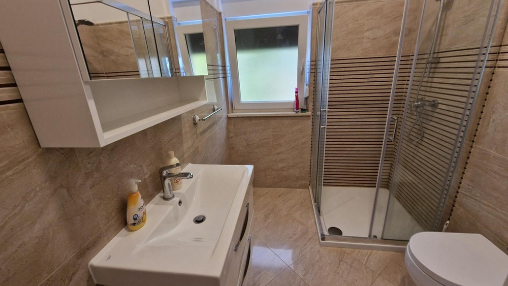 Salle de bains avec meuble vasque et douche de l'appartement à Njivice