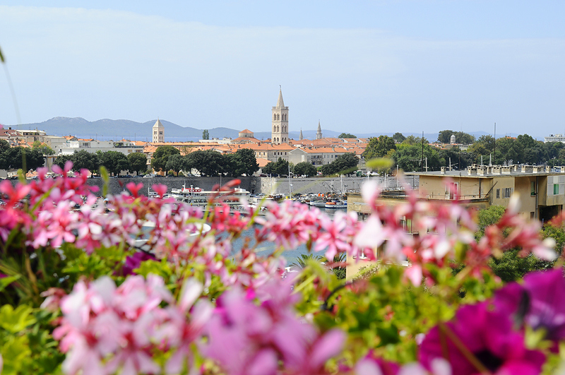 Biens de luxe en Croatie, Dalmatie, Zadar à vendre.