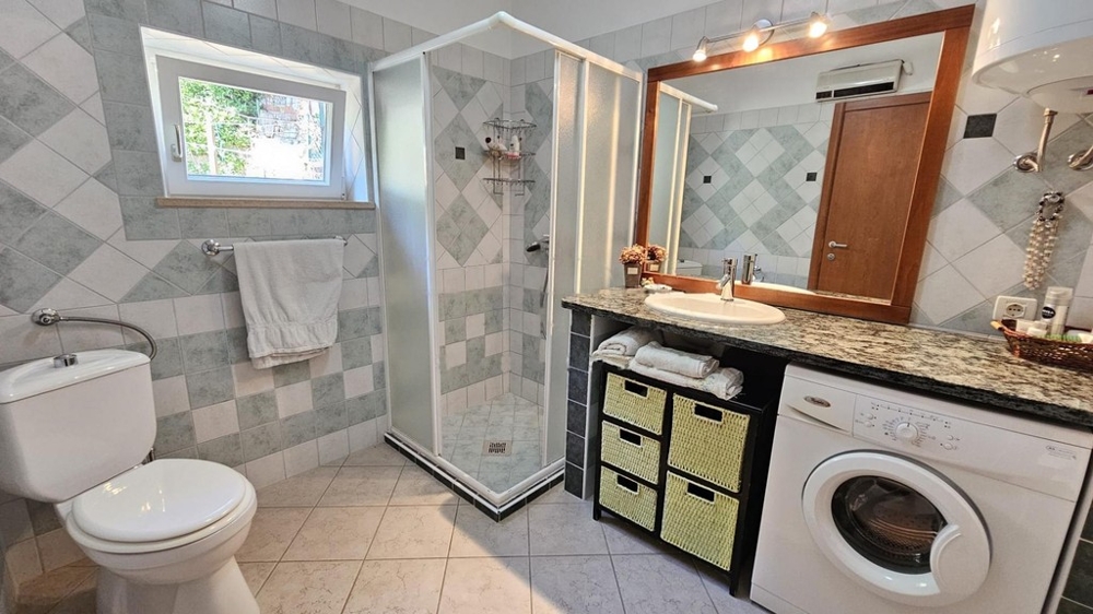 Salle de bains avec douche et lave-linge