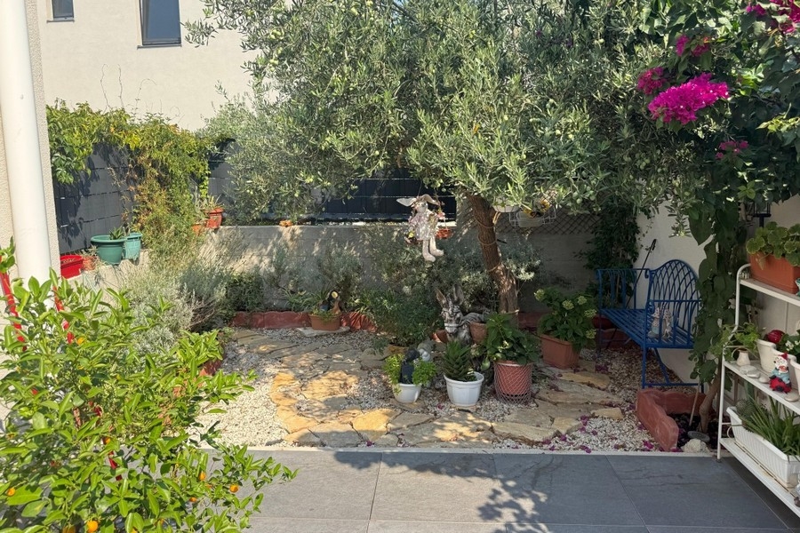 Jardin avec vieil olivier et fleurs
