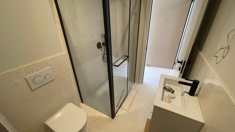 Douche avec paroi en verre et lavabo