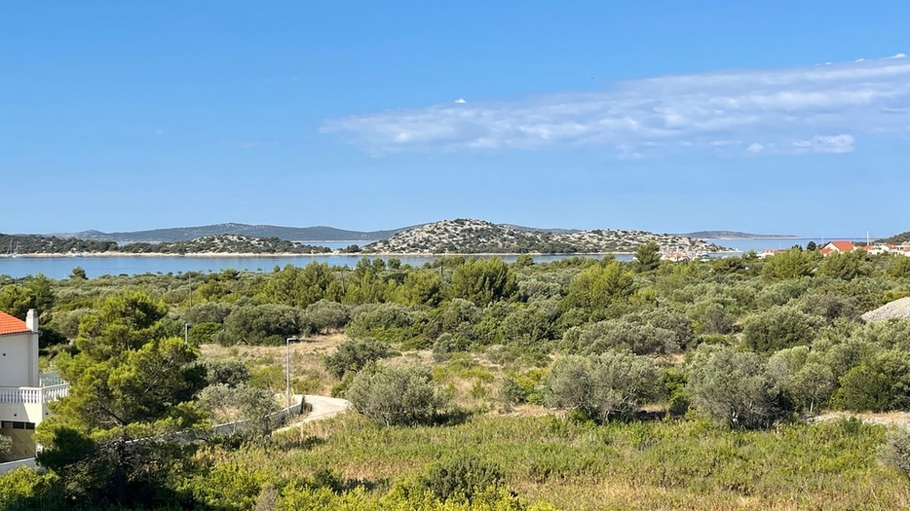 Vaste vue sur les oliveraies et la baie de Vodice