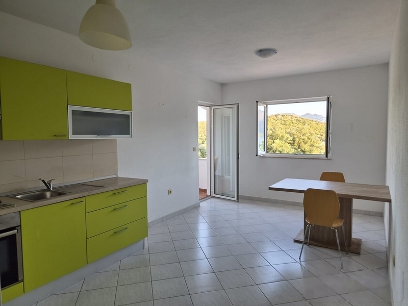 Séjour avec cuisine et table à manger