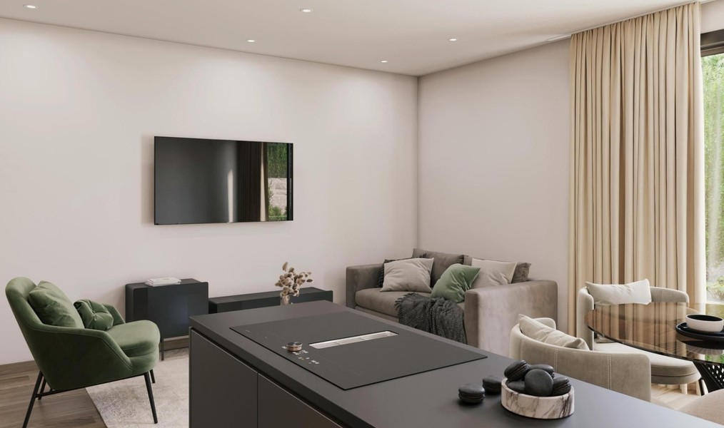 Séjour avec canapé, fauteuil vert et îlot de cuisine