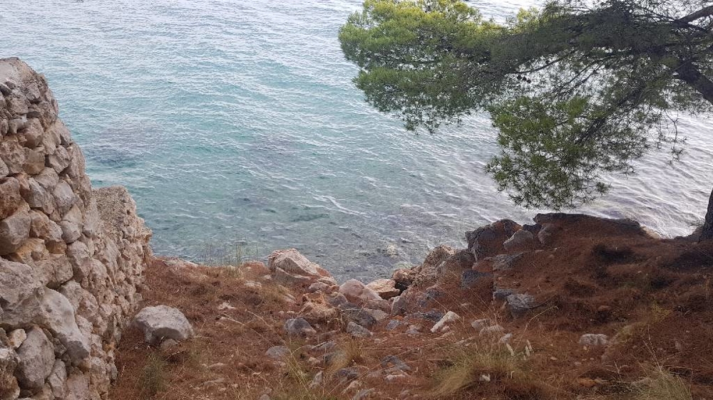 Rivage rocheux avec pins au bord de la mer près de Starigrad Paklenica