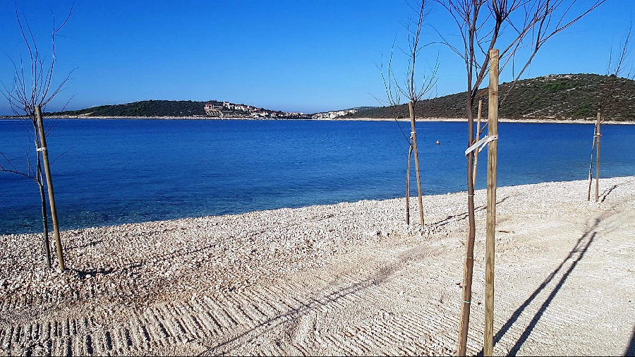 Jeunes arbres sur la plage de galets avec vue sur la baie