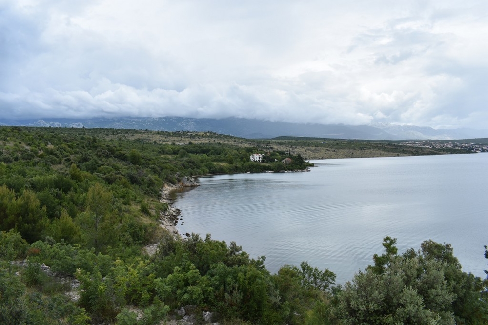 Rive envahie par la végétation au bord de la baie sous des nuages bas