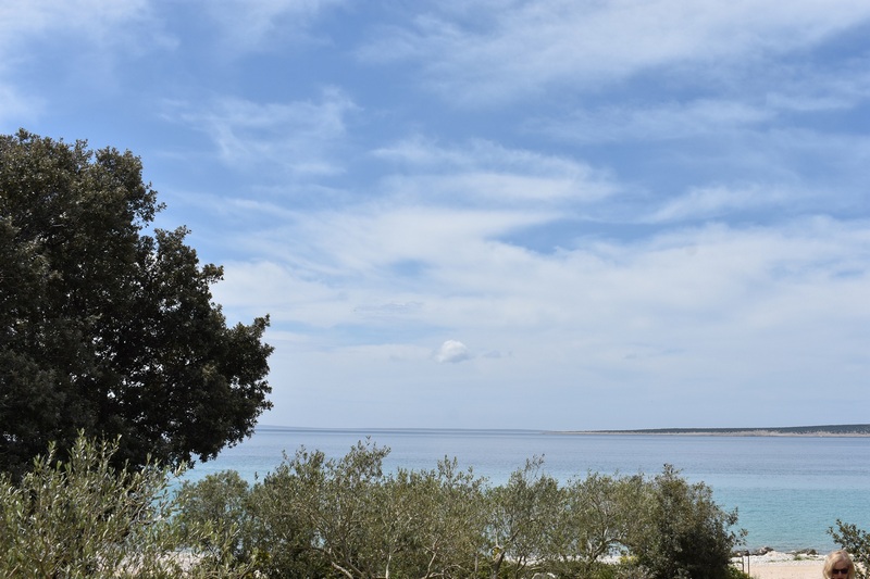 Oliviers au bord de l'eau avec vue sur la langue de terre plate