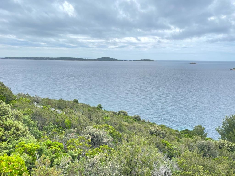 Maquis sur la pente avec vue sur les îles et la pleine mer