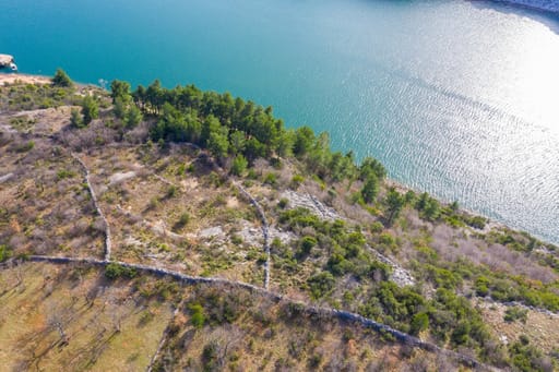 Vue aérienne de la bande côtière avec pins et eau turquoise
