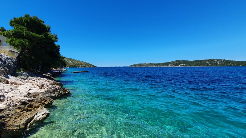 Rivage rocheux avec pin et eau cristalline