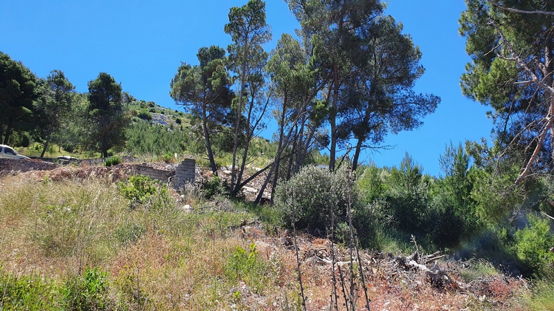 Vue sur le terrain G393 en pente.