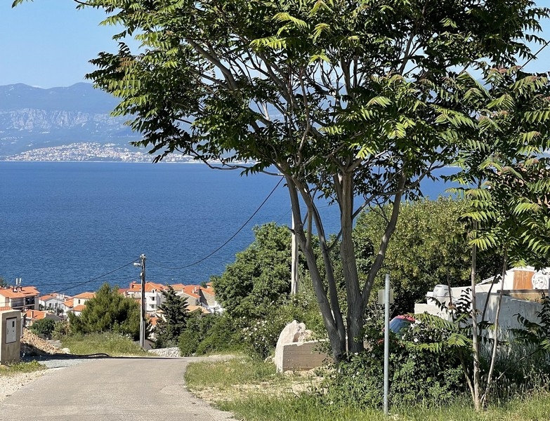 Terrain avec arbres et vue sur la mer