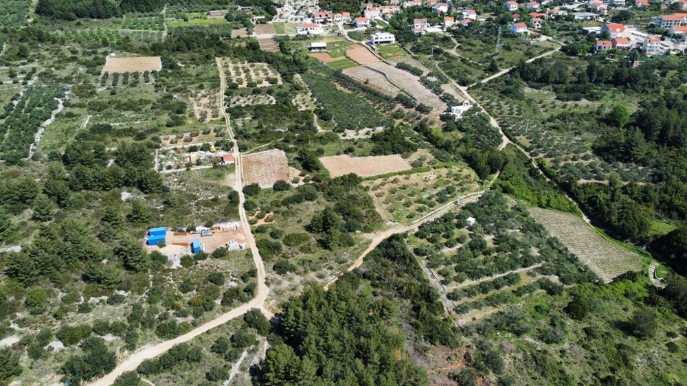 Champs et oliveraies sur la pente vus du ciel