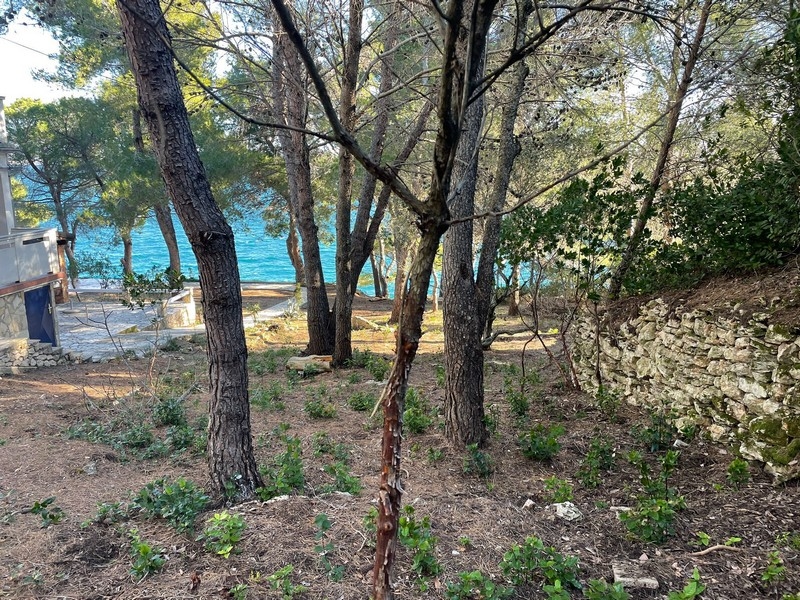 Pins sur le terrain avec vue sur la mer turquoise