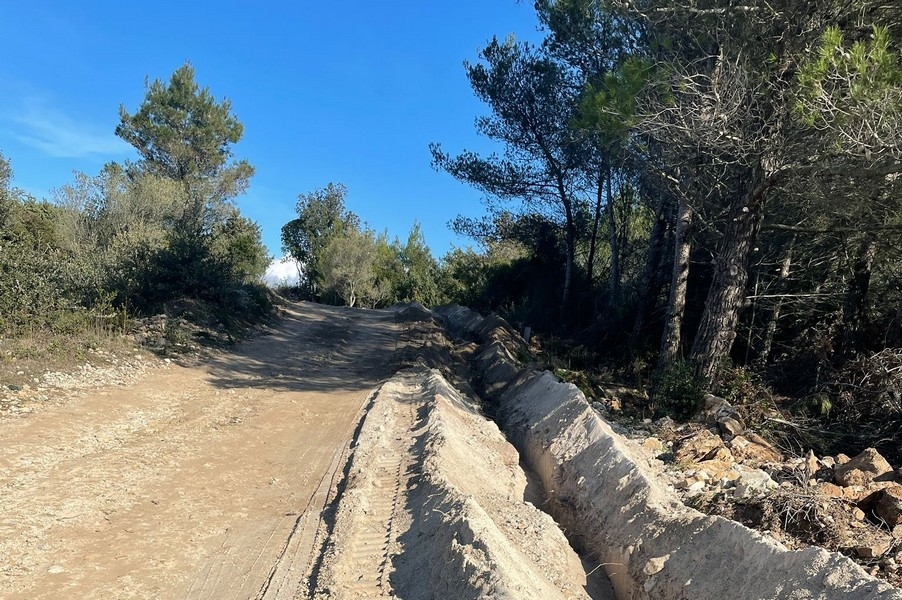 Chemin de gravier à travers la pinède avec tranchée fraîche