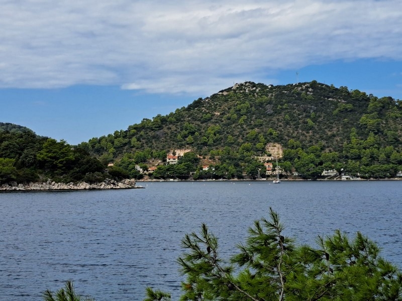 Baie boisée avec quelques maisons sur l'île de Lastovo